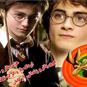 Harry Potter 1 & 3